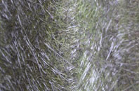 Tettenhall Wood fibreglass roof work