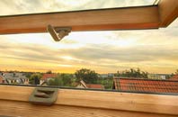 rated Tettenhall Wood roof window companies